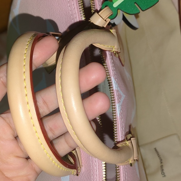 speedy 25 BA pool rose - Picture 5 of 10